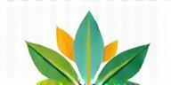 Wattlewood Early Learning Centre Logo